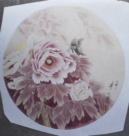 江苏省南通市著名工笔画家张文昌绘：蝶恋花，50*50，保真