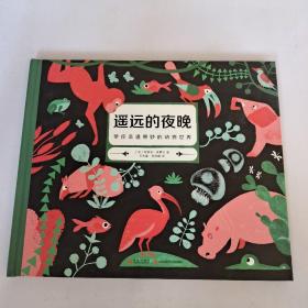 遥远的夜晚