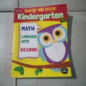 CRAZY BIG BOOK Kindergarten