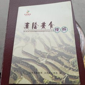 汉阴美食精粹