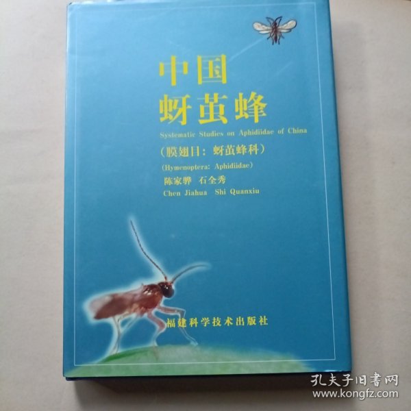 中国蚜茧蜂.膜翅目.蚜茧蜂科