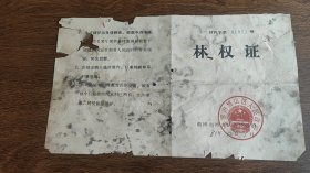 1981年淄博市博山区山头公社冯八峪村林权证