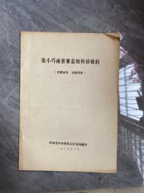 张小巧被害案是如何侦破的