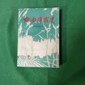 虹南作战史 红色文学 怀旧收藏 铅印小开本 封面漂亮 私藏美品 白纸铅印本