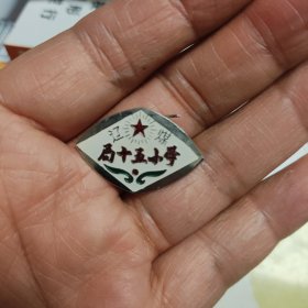 辽煤局十五小学，校徽。应该是在调兵山。