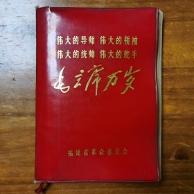 伟大的导师伟大的领袖伟大的统帅伟大的舵手 毛主席万岁