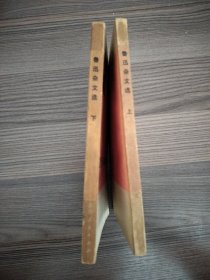 鲁迅杂文选上下