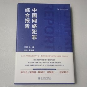 中国网络犯罪综合报告《签赠本》