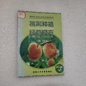 桃树种植经营良方（新时代文化生活技术普及丛书）