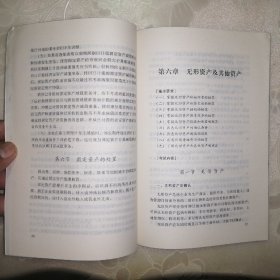 中级会计专业技术资格考试大纲·中级会计实务【正版·2004年1版1印】