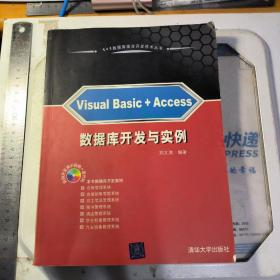 1+1数据库混合开发技术丛书：Visual Basic+Access数据库开发与实例