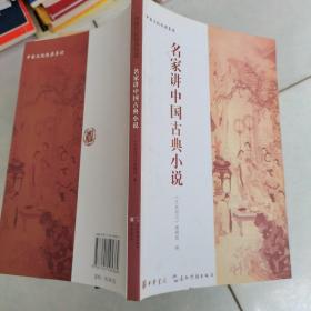 中国文化经典：名家讲中国古典小说