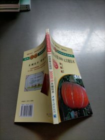優(yōu)質(zhì)南瓜畝創(chuàng)3000元關(guān)鍵技術(shù)