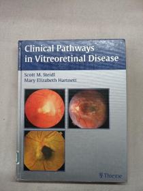英文原版Clinical  Pathways in  Vitro retinal  Disease