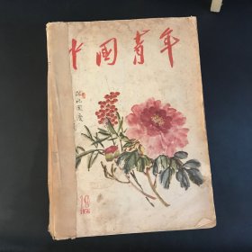 中国青年 1956年第19期＋1978年第2、3期＋1979年第1、2、9、11、12期＋1980年第2、5、7、9、11期＋1981年第3、5、7、8、9、11-12、19、22、23-24期（共22本24期合售）期刊杂志