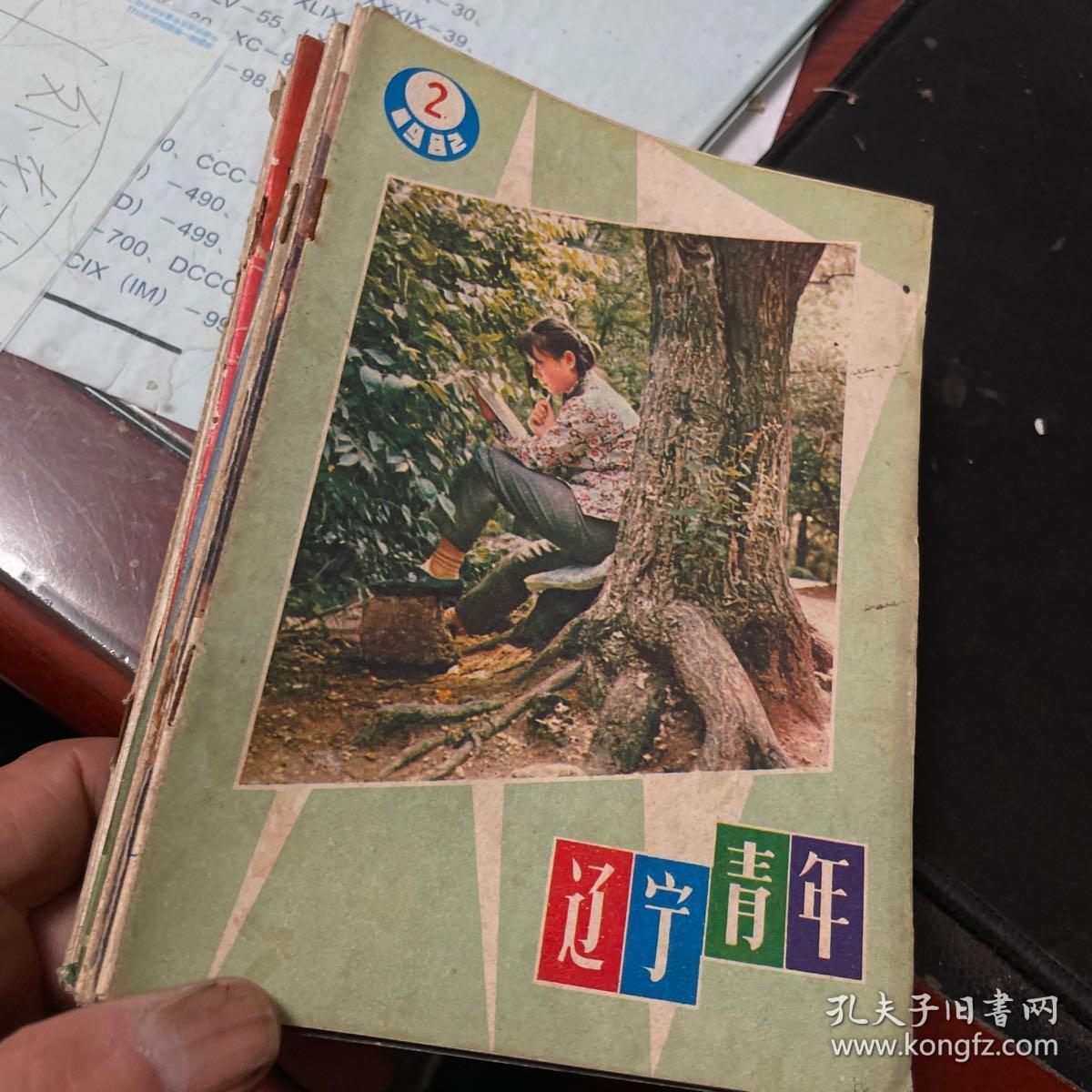 辽宁青年(共134合售)_辽宁青年杂志社_孔夫子旧书网