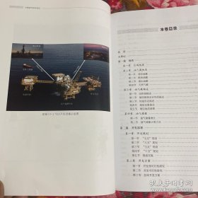 中国油气田开发历史：南海东部、西部油气区卷 共两册大全套（海洋上石油勘探开发纪实资料）