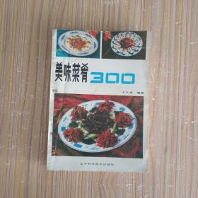 美味菜肴300