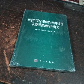 页岩气岩石物理与测井评价及微观渗流特性研究