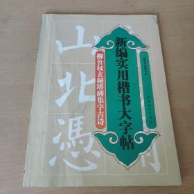 新编实用楷书大字贴——柳公权玄秘塔碑集字古诗