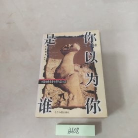 你以为你是谁