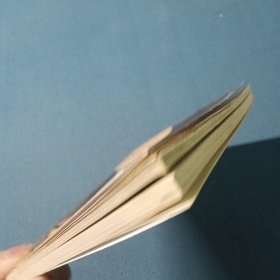 豪门惊梦