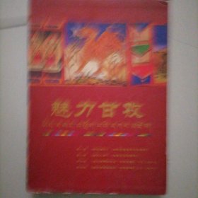 魅力甘孜…甘孜文化文情片（VCD）精装套封，品相佳