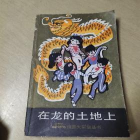 在龙的土地上