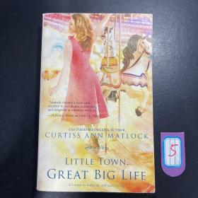 Little town great big life 英文原版