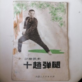 十趟弹腿