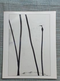 《荷韵》摄影作品 2009“瓯江行”丽水摄影大展 拍摄地点：瓯江行