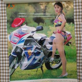 挂历1994年 美女泳装摩托挂历，发发发     13张全 塑膜