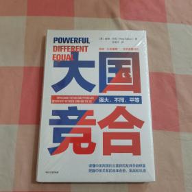 大国竞合：把握中美关系的未来走势、挑战和机遇【全新】