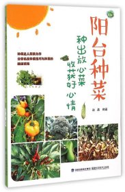 阳台种菜：种出放心菜收获好心情