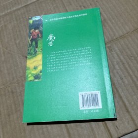 魔塔/彭懿成长幻想小说