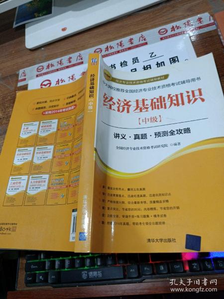 2015年经济专业技术资格考试辅导教材：经济基础知识·中级 讲义·真题·预测全攻略