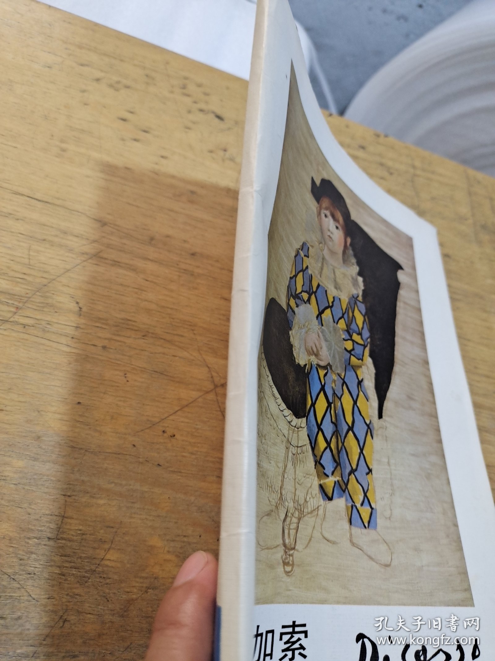 毕加索绘画原作展览 30张