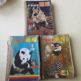 少年科学画报1982年（1-12全）、1983年（1-12全）、1984年（1-12全）共三年手工合订本合售！