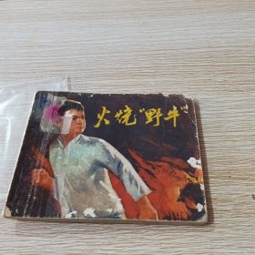 连环画 火烧野牛