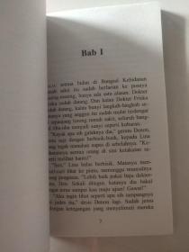 KEMILAU KEMUNING SENJA 印尼语版小说 近全新
