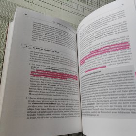 Ethische Entscheidungsfindung Ein Handbuch für die Praxis 德文