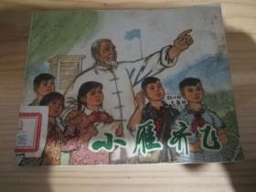 小雁齐飞、连环画