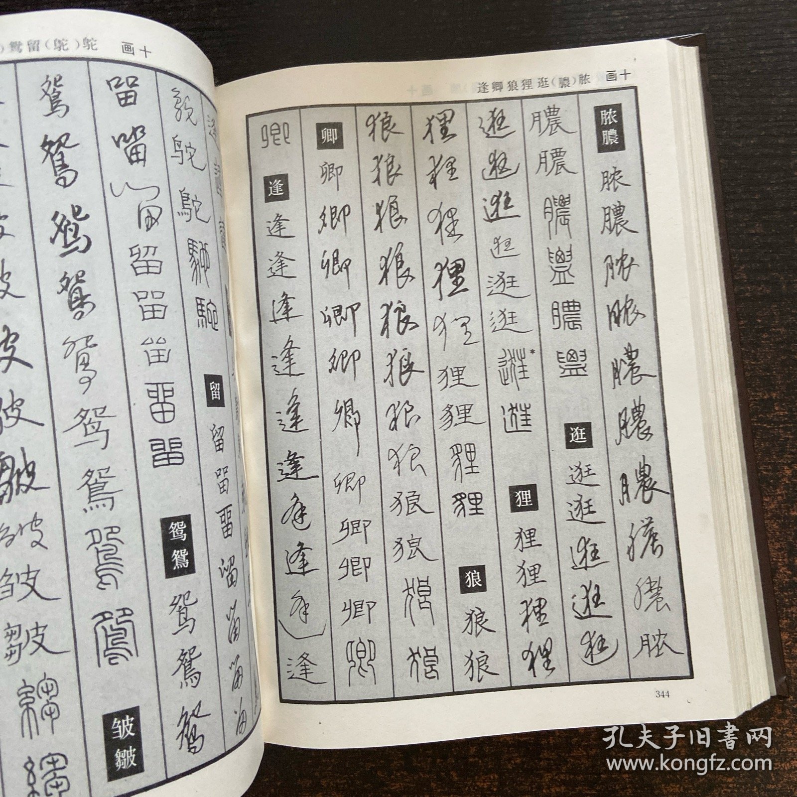 中国钢笔书法大字典