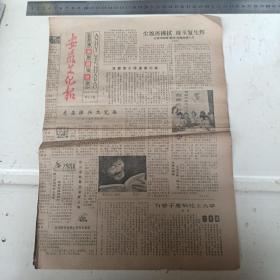 安徽文化报，第517期星期版