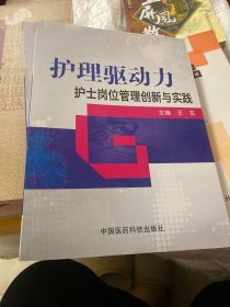 护理驱动力：护士岗位管理创新与实践