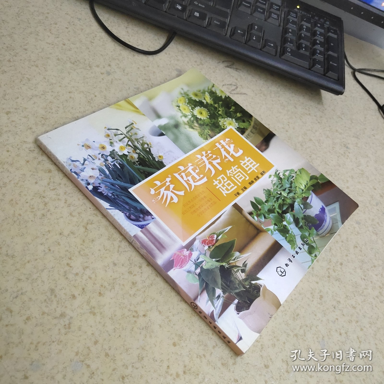 家庭养花超简单