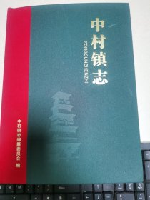 中村镇志