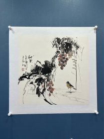 包布和画家四尺斗方大写意葡萄秋果乙未年老作品收藏佳品走廊画玄关画餐厅画