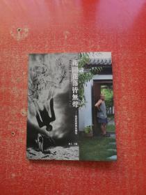 花开花落皆无声--迟耐整体艺术图集 【作者签赠本  】