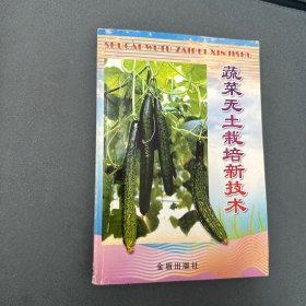 蔬菜无土栽培新技术